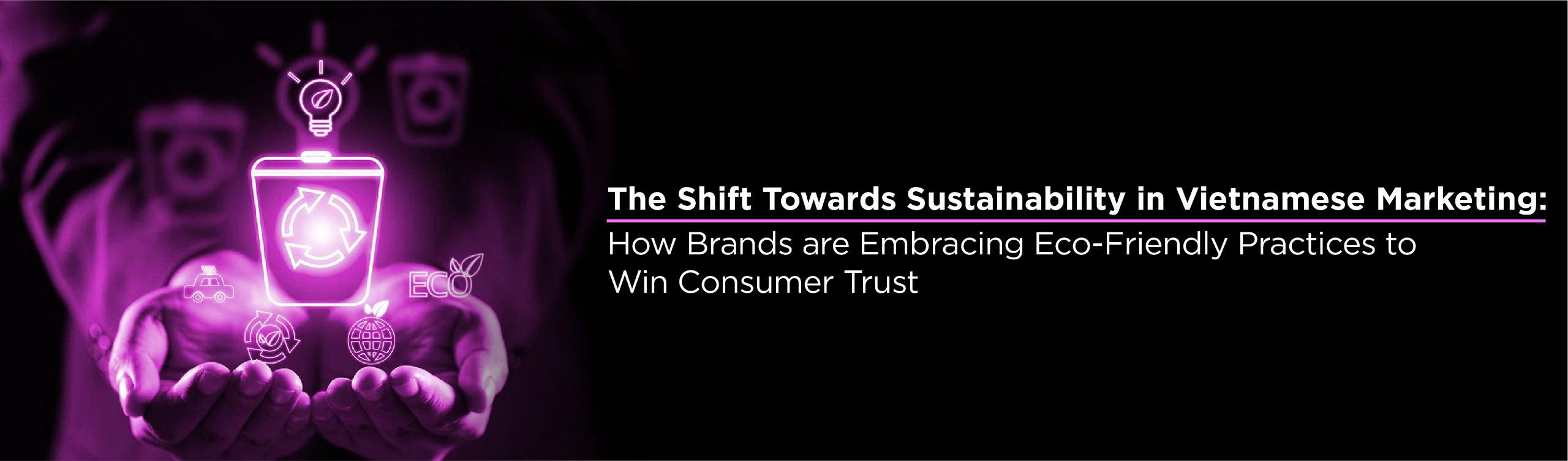 The Shift Towards Sustainability in Vietnamese Marketing- How Brands are Embracing Eco-Friendly Practices to Win Consumer Trust